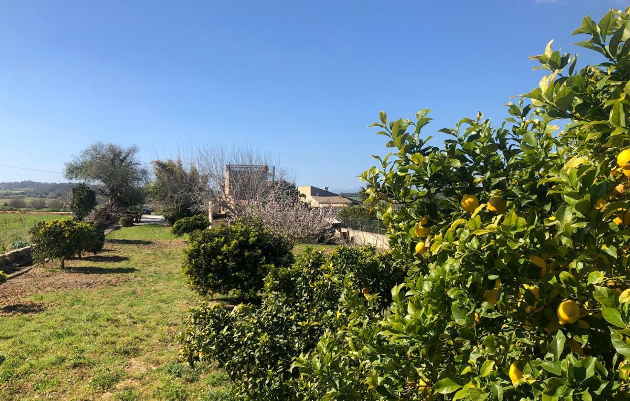 Son Roig ,Beautiful Place In The Heart Of Mallorca -Etv 9979 María de la Salud Zewnętrze zdjęcie
