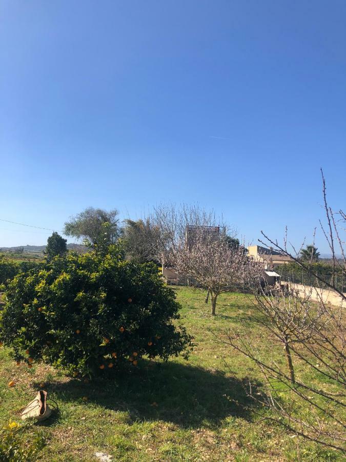 Son Roig ,Beautiful Place In The Heart Of Mallorca -Etv 9979 María de la Salud Zewnętrze zdjęcie